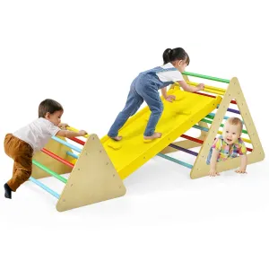 3-in-1 Climbing Ladder & Ramp Set