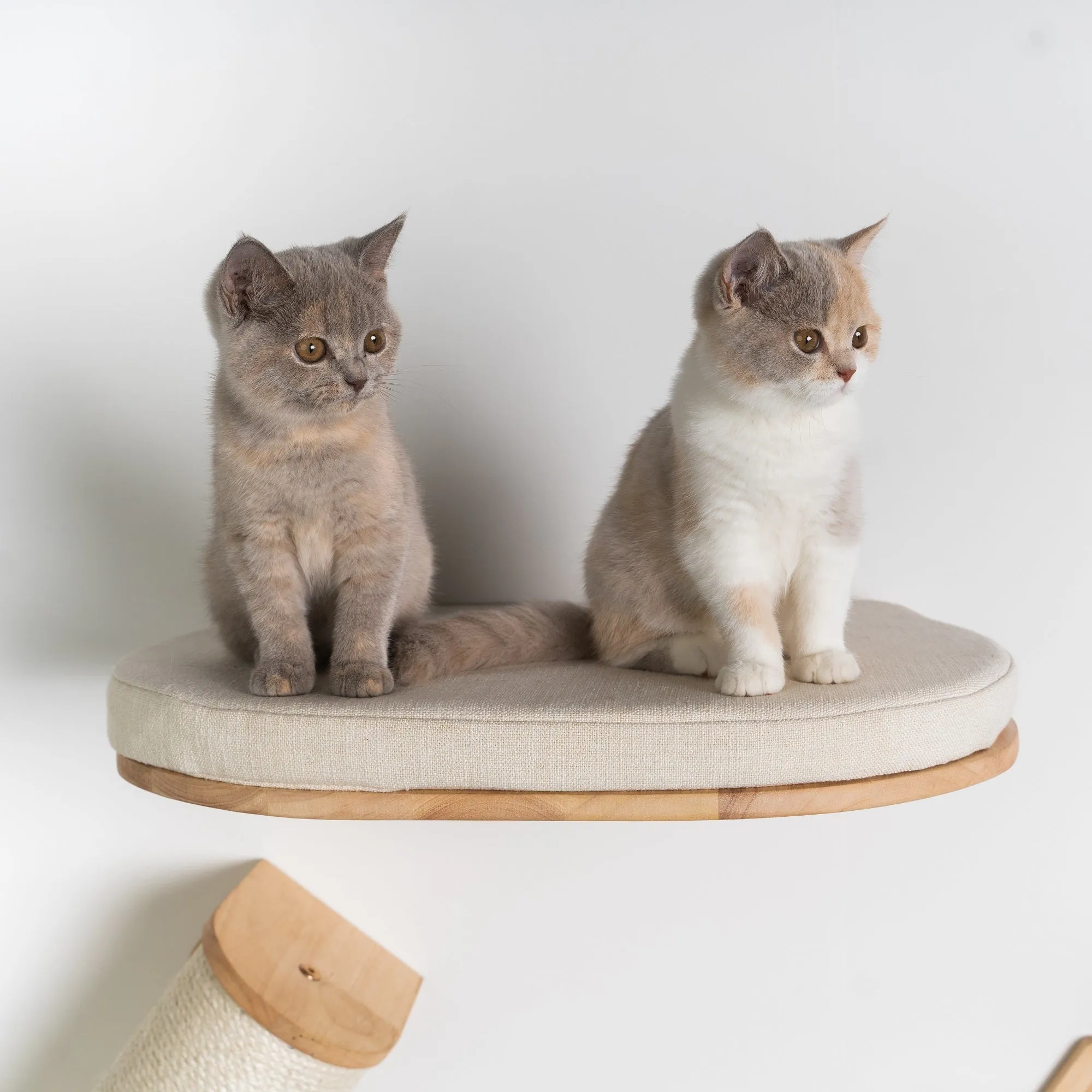 Cat Climbing Wall - Cat Bed de Luxe (Beige)