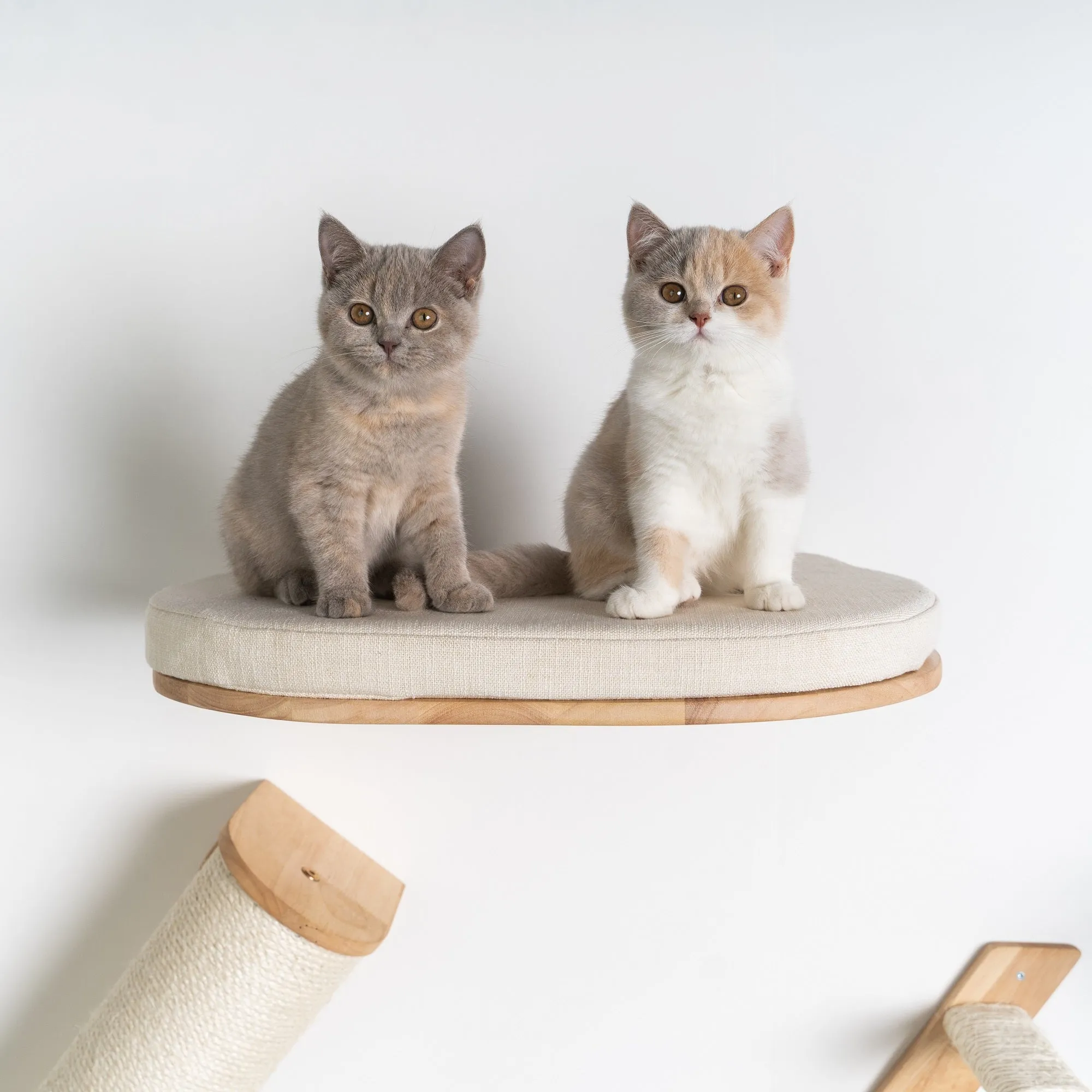 Cat Climbing Wall - Cat Bed de Luxe (Beige)