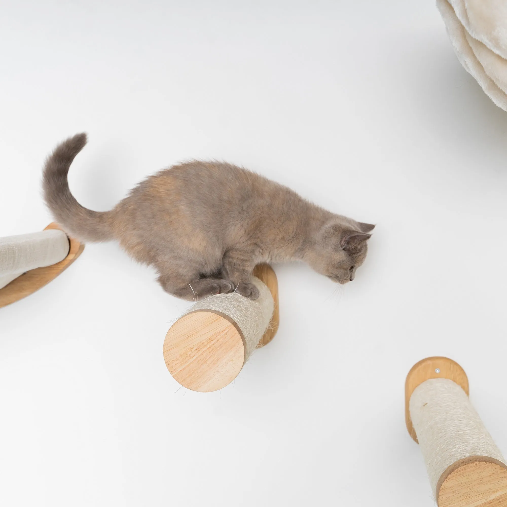 Cat Climbing Wall - Sisalpole Set (Beige)