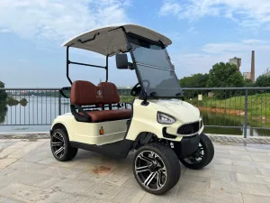 COOLBABY TXV20: A 48V 2 Passenger Golf Cart Durable Buggy Experience