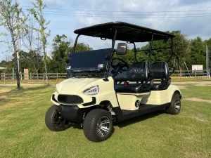 COOLBABY TXV40 A Durable 48V 4 Passenger Golf Cart Ideal for Adult 4-Seater Buggy Rides