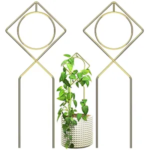 Gold Metal Trellis Pack of 2 for Potted Plants 17 X 7