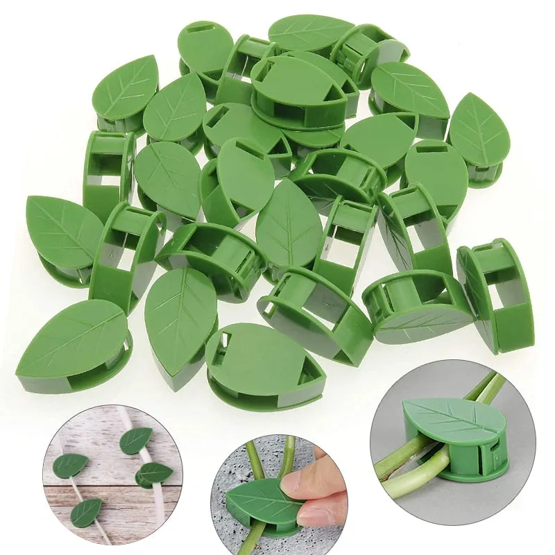 LeafClips® | Plant Climbing Wall Fixture Clips