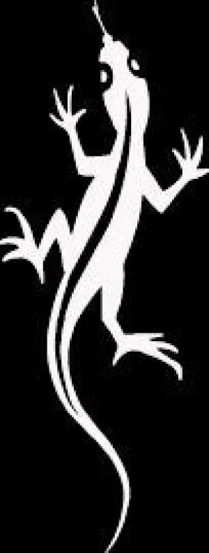 Lizard climbing - Die Cut Vinyl Sticker Decal