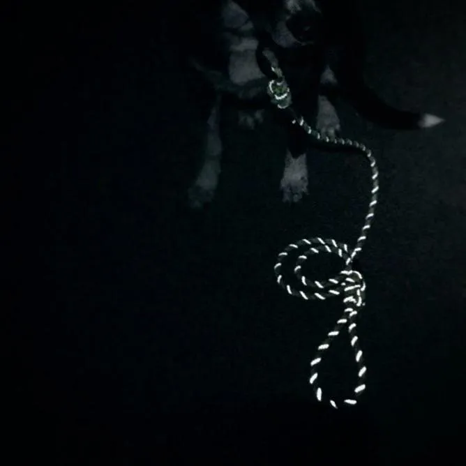 Razzleberry Reflective Collar