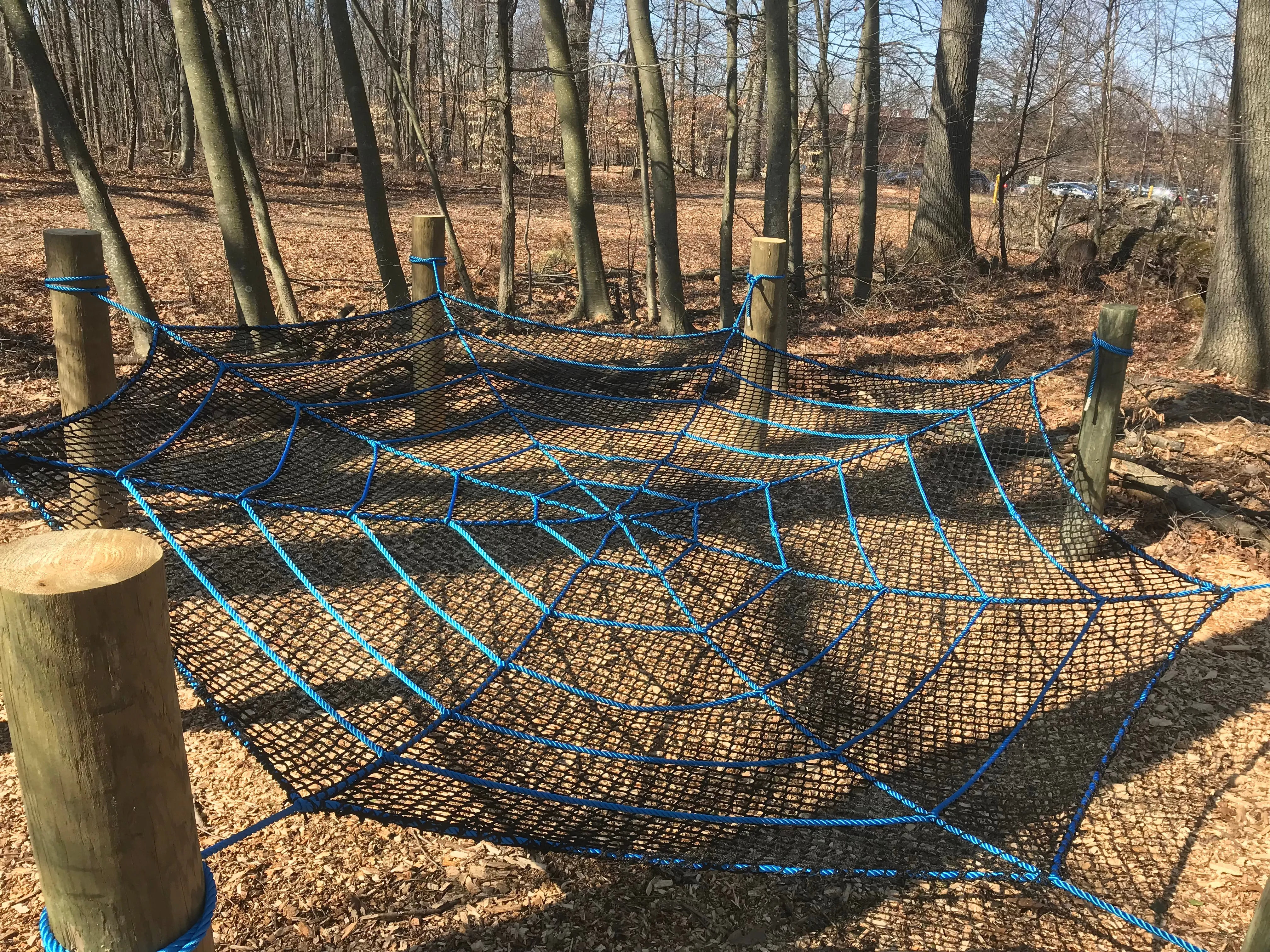 SPIDER WEB CLIMBING NET