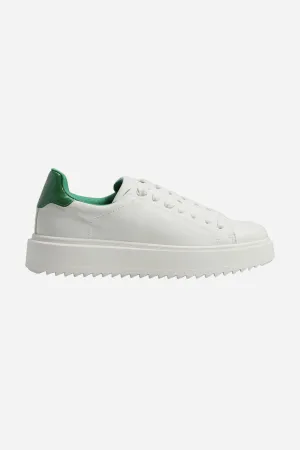 Steve Madden Charlie Sneakers In Green Snake