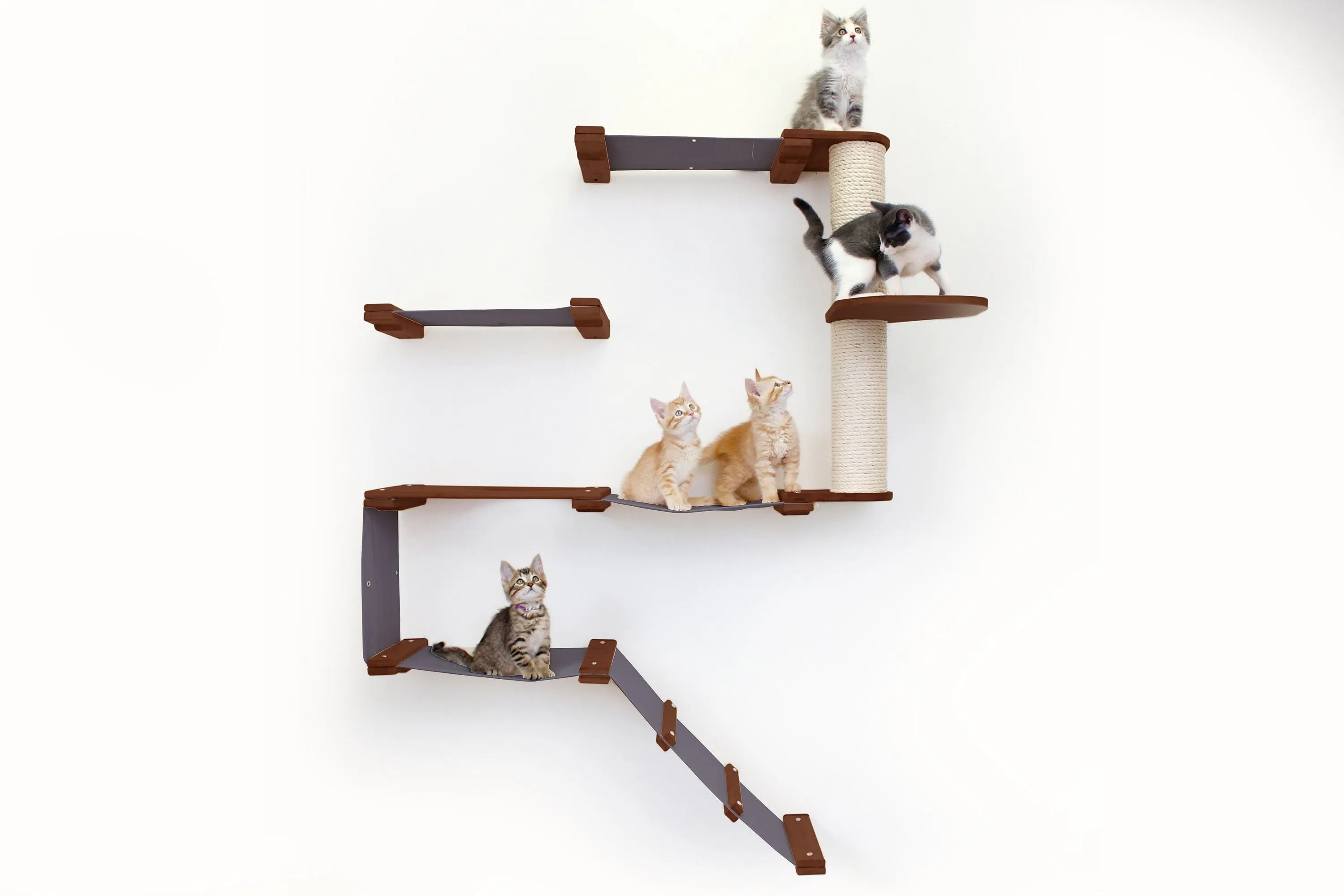 The Deluxe Fort - Modern Cat Condo (Wall Hanging Cat Tree)