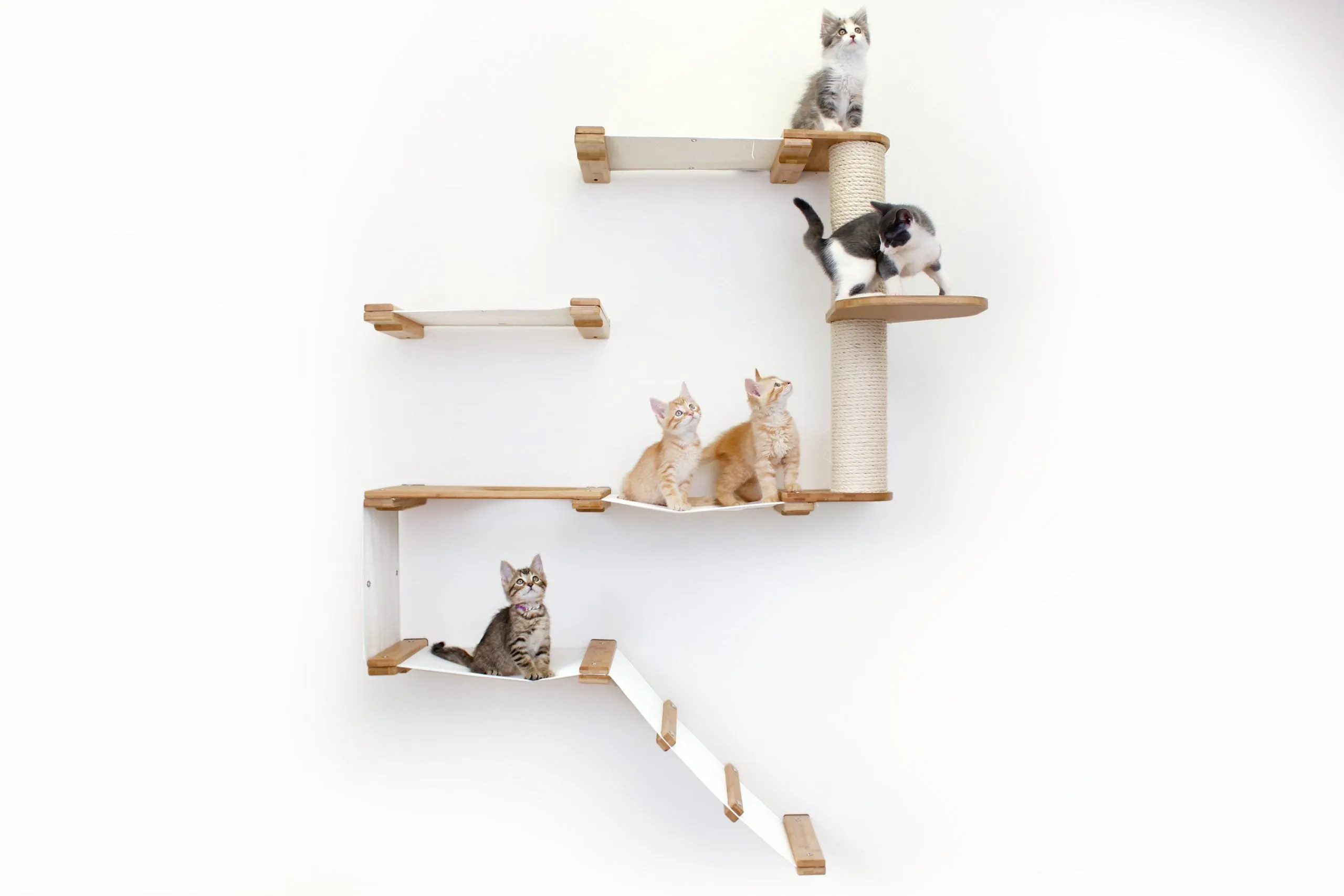 The Deluxe Fort - Modern Cat Condo (Wall Hanging Cat Tree)