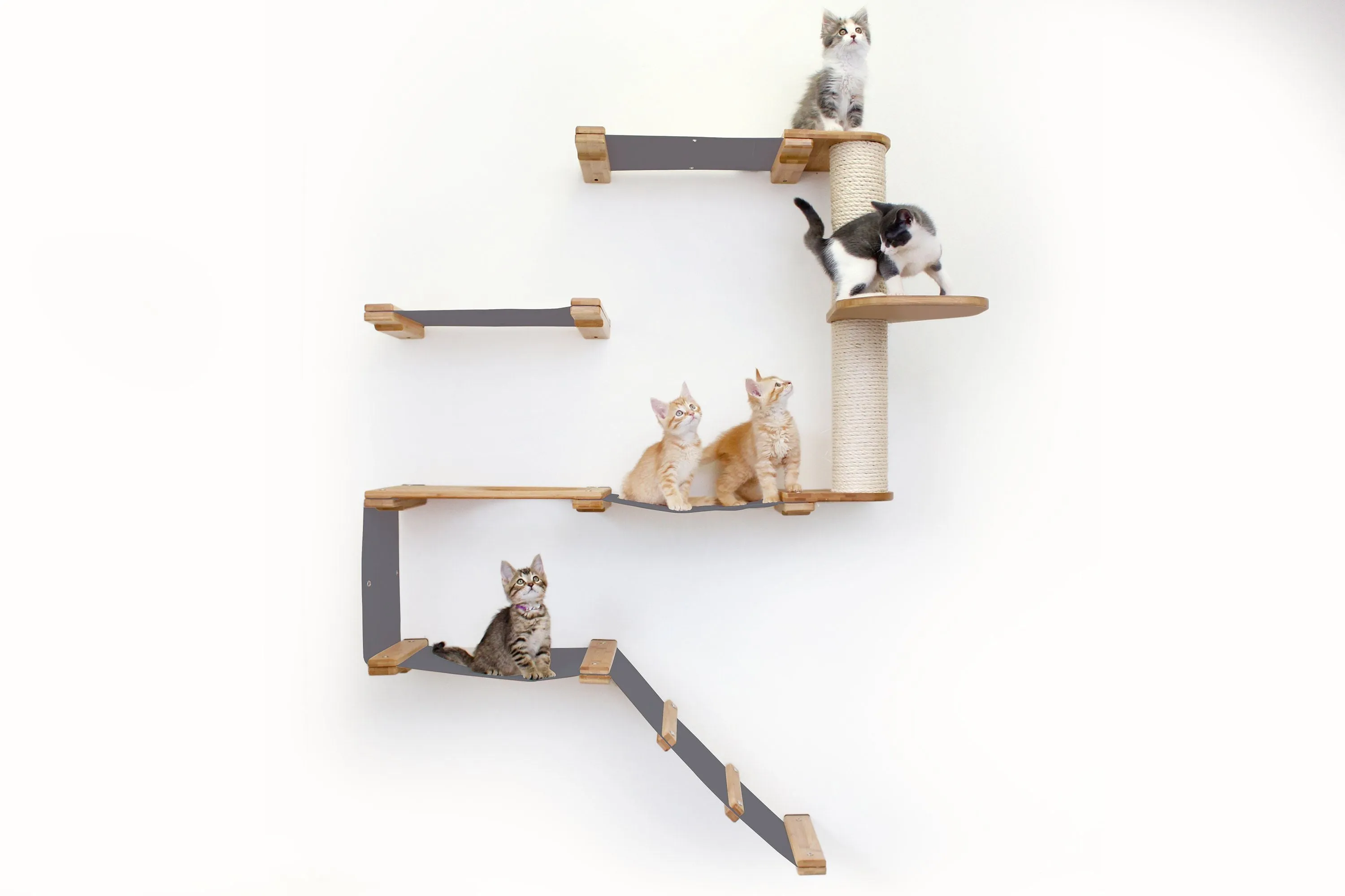 The Deluxe Fort - Modern Cat Condo (Wall Hanging Cat Tree)