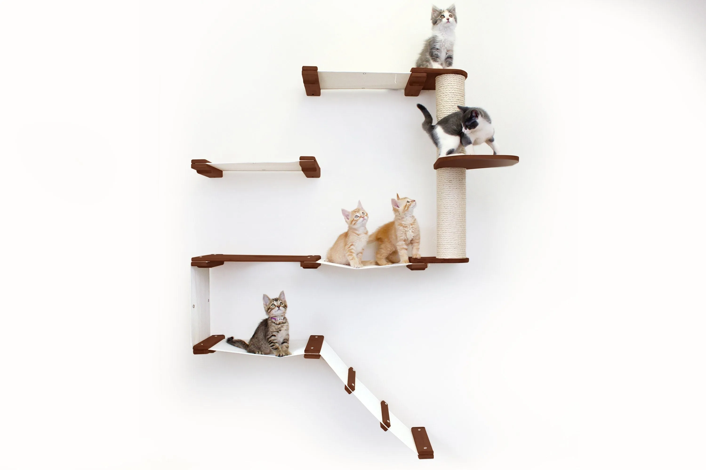 The Deluxe Fort - Modern Cat Condo (Wall Hanging Cat Tree)