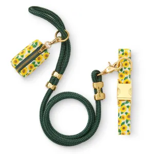 The Foggy Dog Collar, Leash & Waste Bag Set - You Are My Sunshine