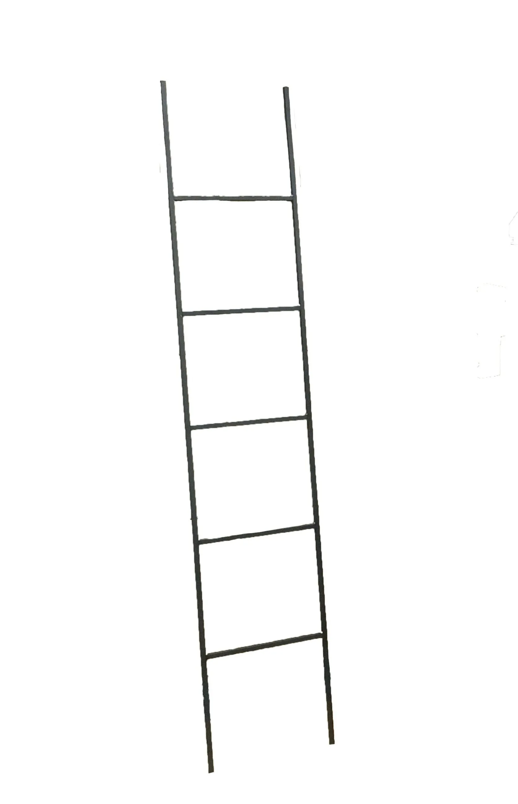 The Lynn Metal Ladder